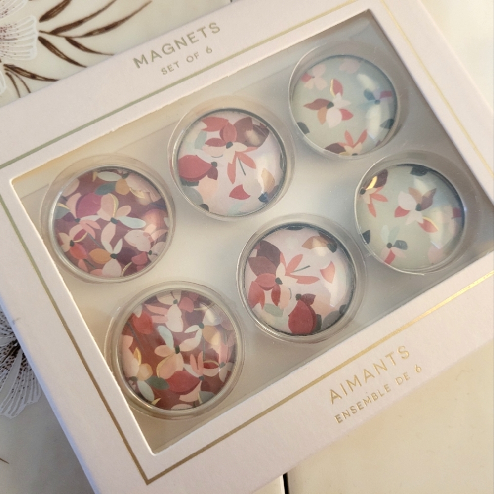 2 Boxes/$8 - Indigo fridge magnets